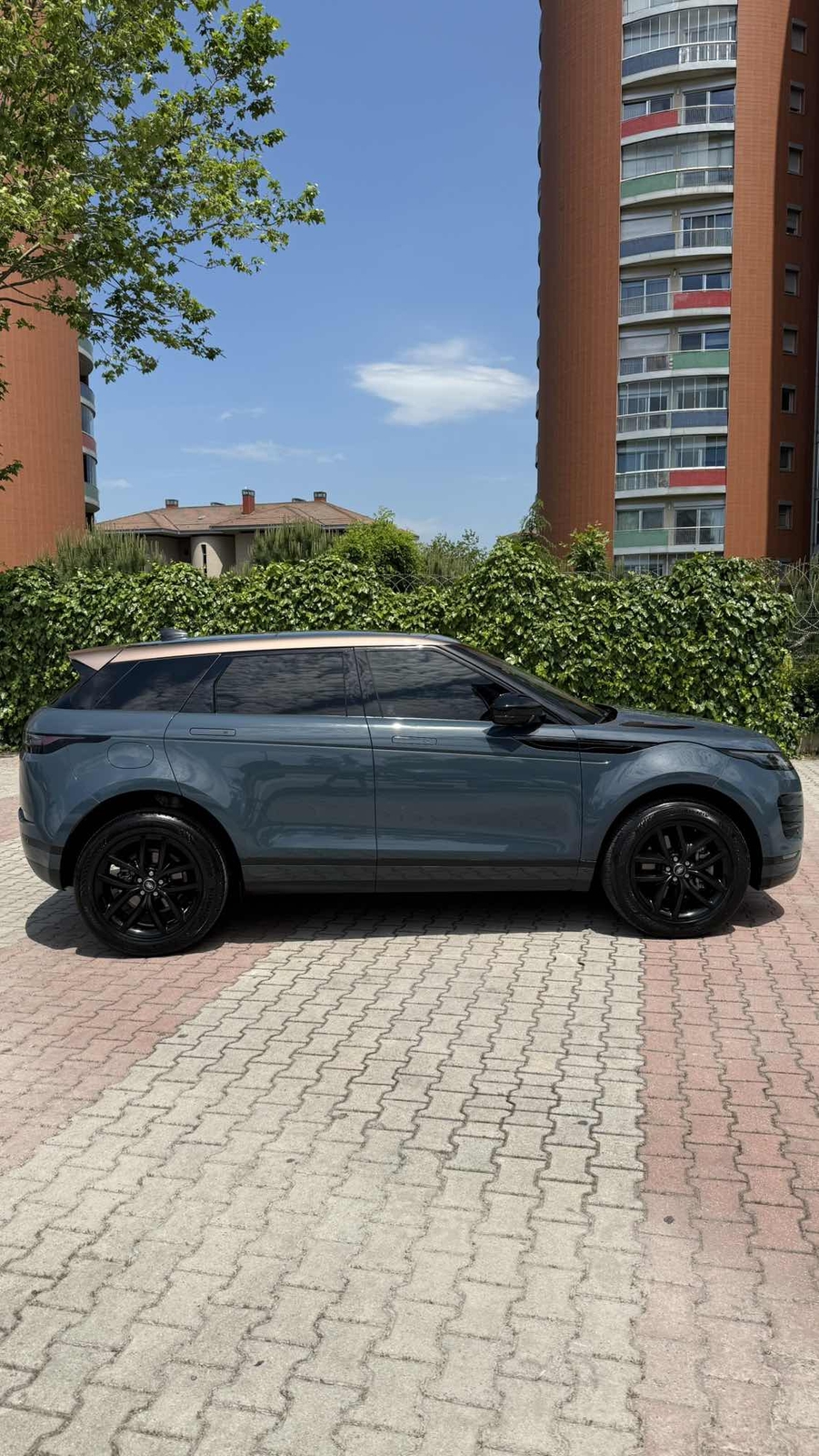 Range Rover Evoque 1.5 P300 SE ÇİFT RENK - 8